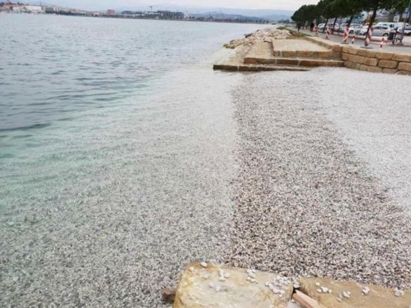 Apartmaji Ema كوبر المظهر الخارجي الصورة